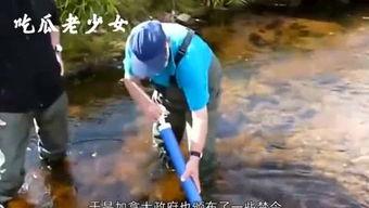 娱乐吃瓜老少女是谁,她是如何成为网络红人的?